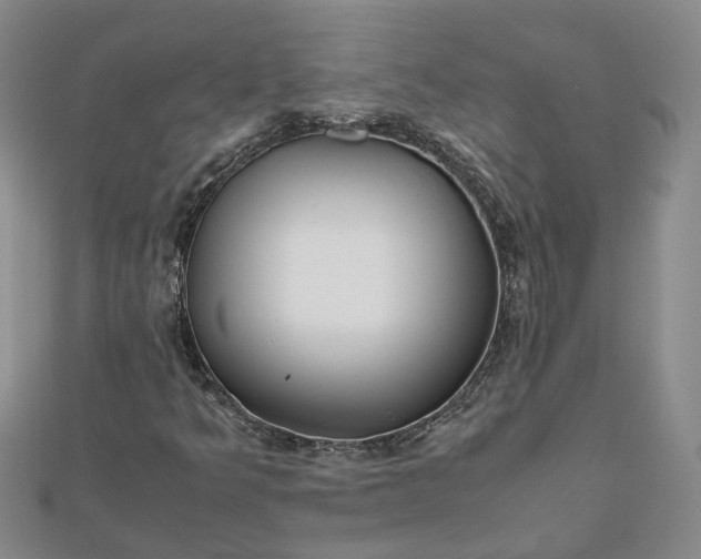 X0000111841349200908061245