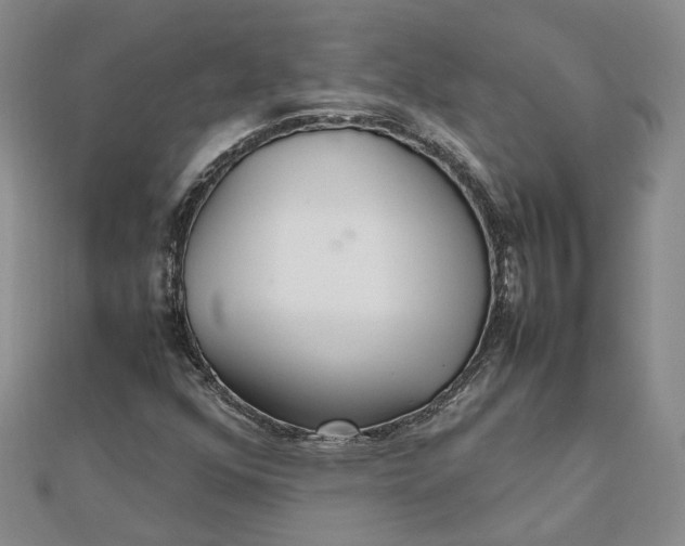 X0000111841352200908061245