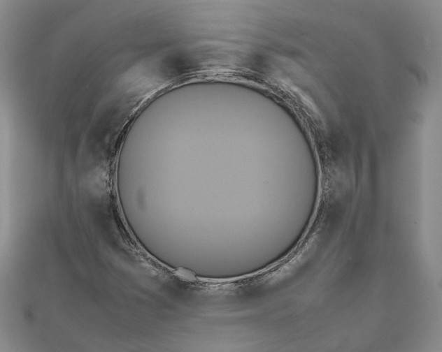 X0000111841353200908061245