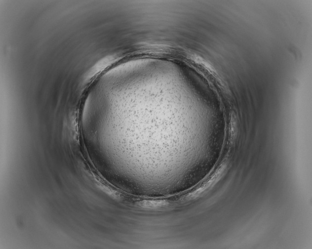 X0000111841354200908061245