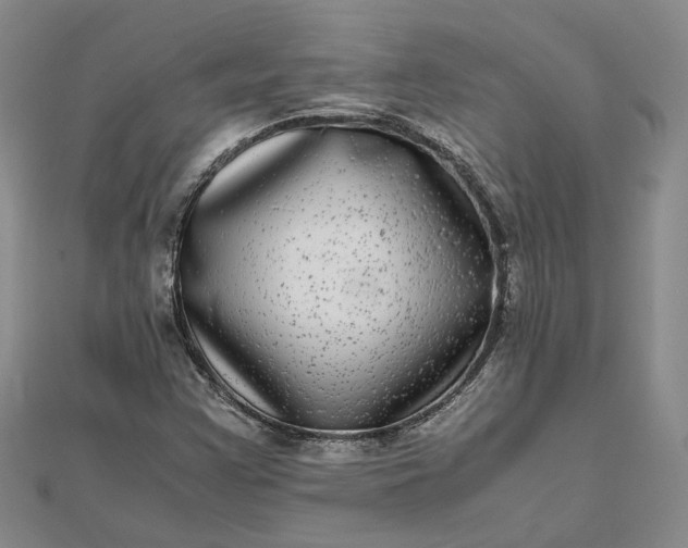 X0000111841355200908061245