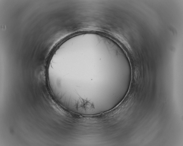 X0000111841356200908061245