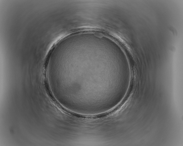 X0000111841357200908061245