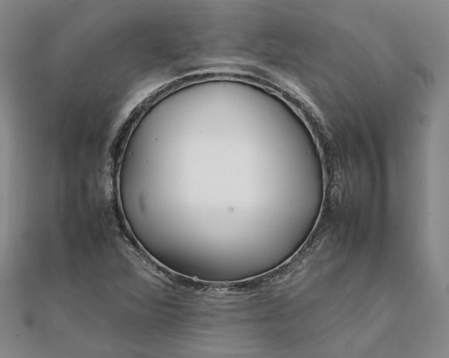 X0000111841360200908061245