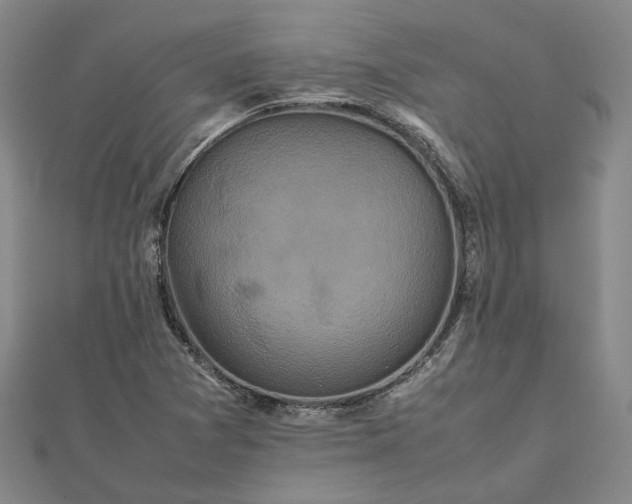 X0000111841361200908061245