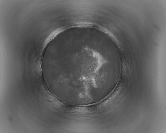 X0000111841362200908061245