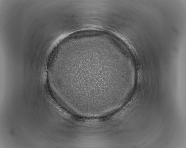 X0000111841363200908061245