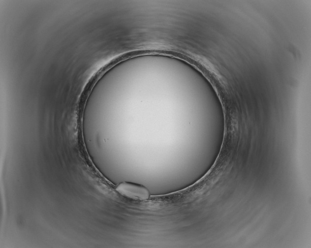 X0000111841364200908061245