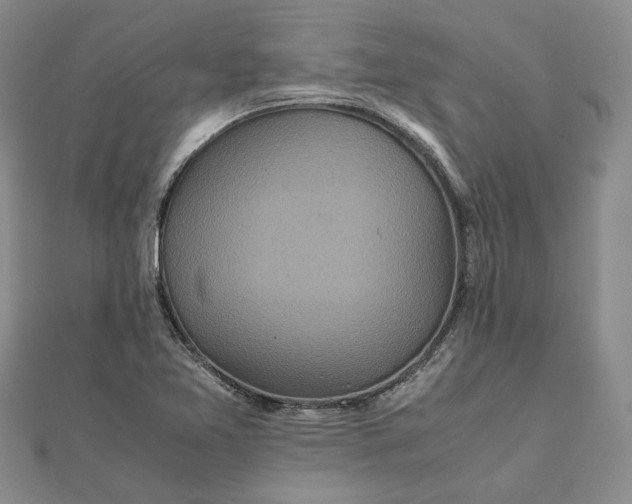 X0000111841365200908061245