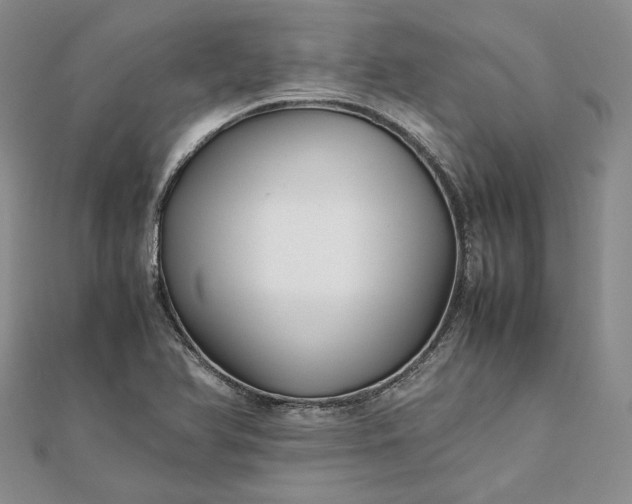 X0000111841366200908061245