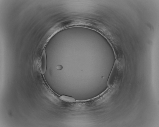 X0000111841369200908061245