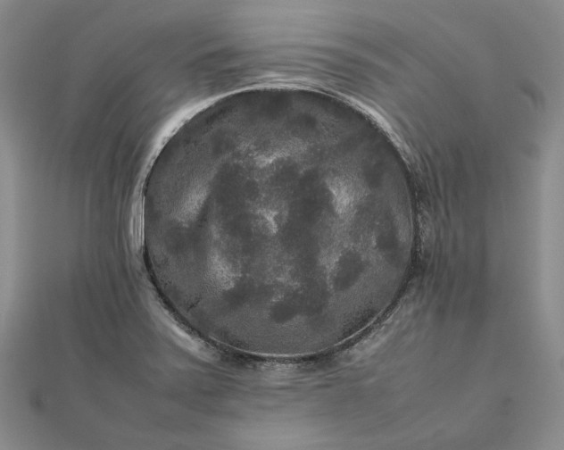 X0000111841371200908061244