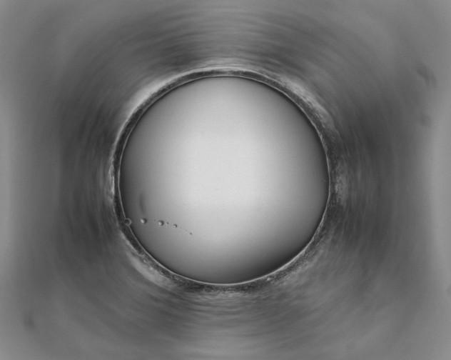 X0000111841372200908061244