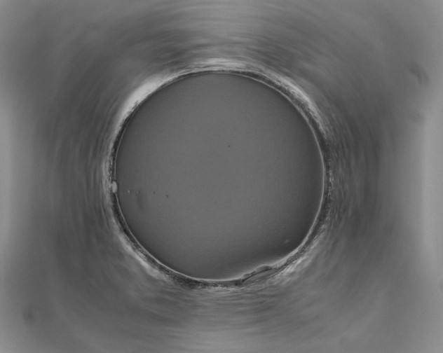 X0000111841373200908061244