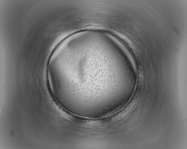 X0000111841375200908061244