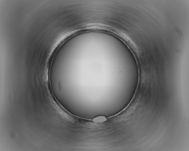 X0000111841376200908061244