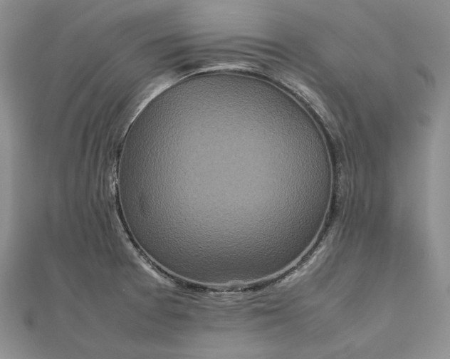 X0000111841377200908061244