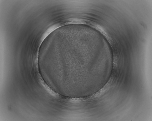 X0000111841378200908061244