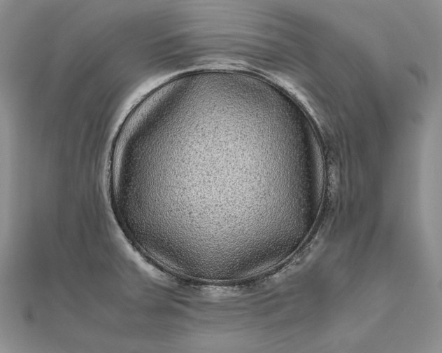 X0000111841379200908061244