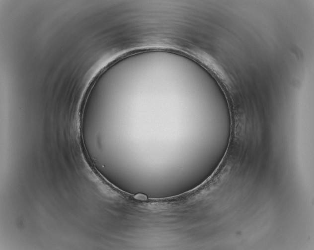 X0000111841380200908061244