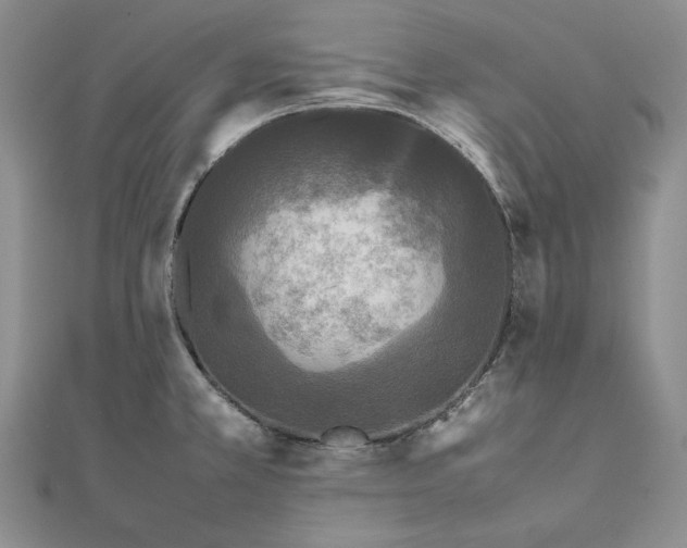 X0000111841381200908061244