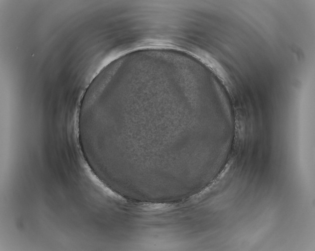 X0000111841382200908061244