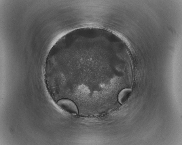 X0000111841383200908061244