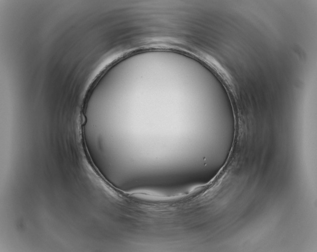 X0000111841384200908061244