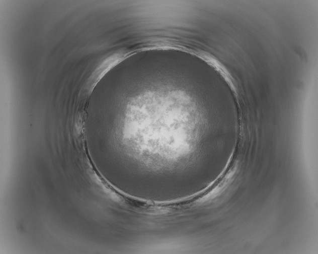 X0000111841385200908061244