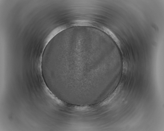 X0000111841386200908061244