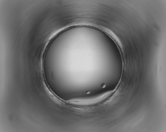 X0000111841388200908061244