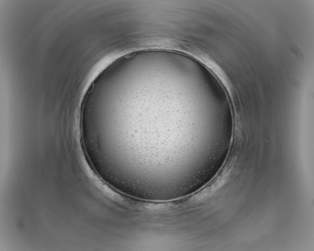 X0000111841389200908061244