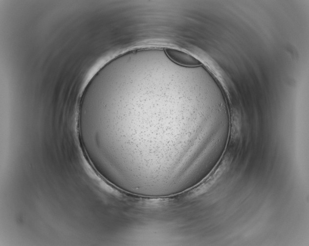 X0000111841390200908061244