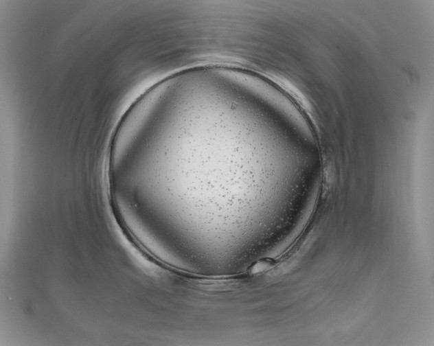 X0000111841391200908061244