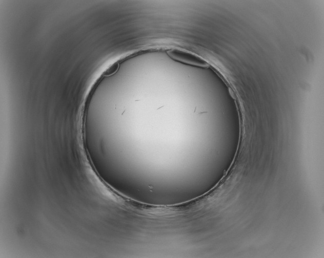 X0000111841392200908061244