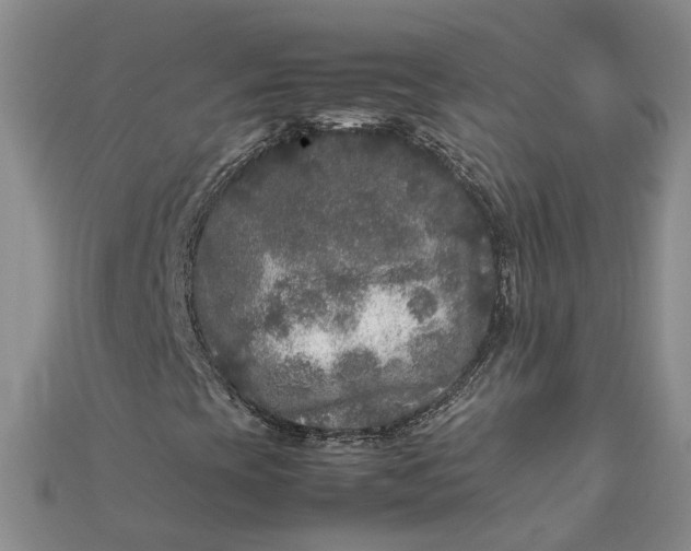 X0000111841393200908061243