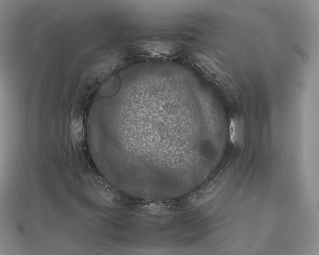 X0000111841395200908061243