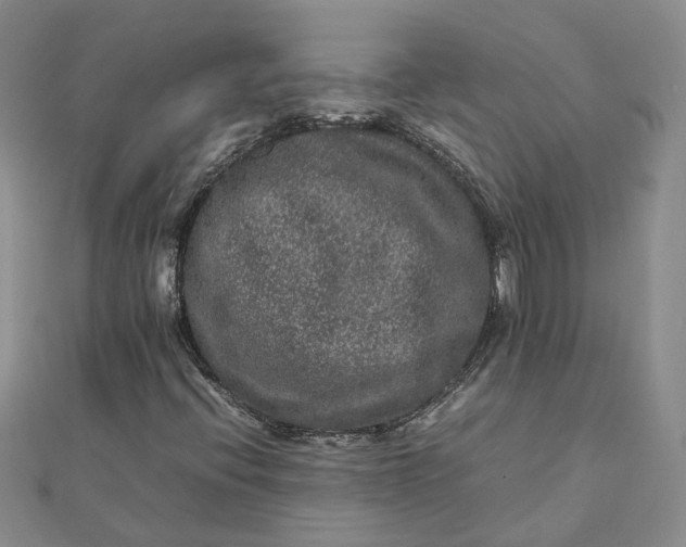 X0000111841396200908061244