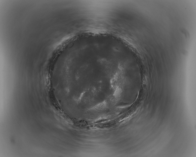 X0000111841398200908061244