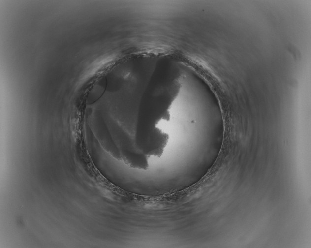 X0000111841399200908061244