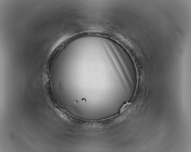 X0000111841400200908061244