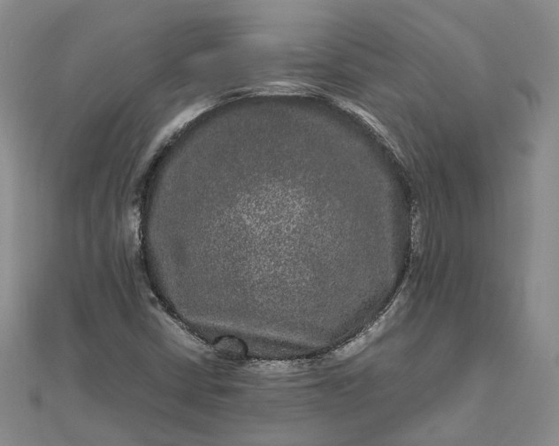 X0000111841402200908061244