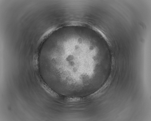 X0000111841403200908061244