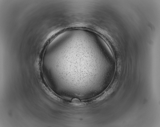 X0000111841404200908061244