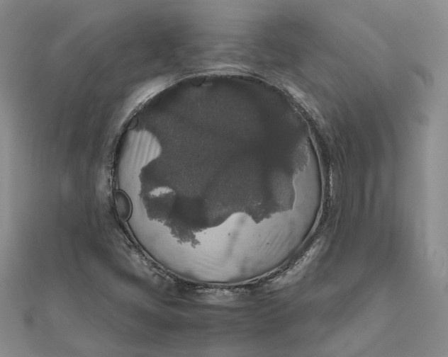 X0000111841405200908061244