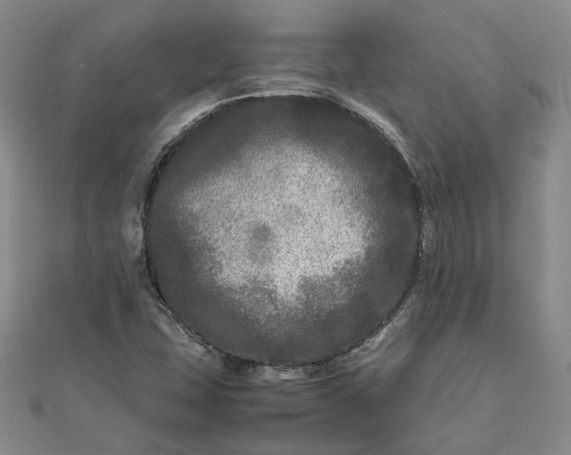 X0000111841407200908061244