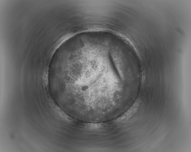 X0000111841409200908061244