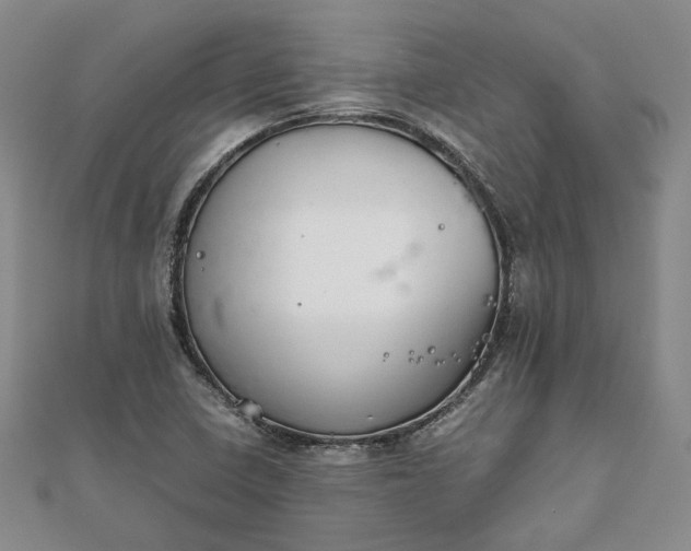 X0000111841410200908061244