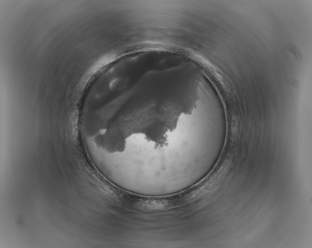 X0000111841411200908061244