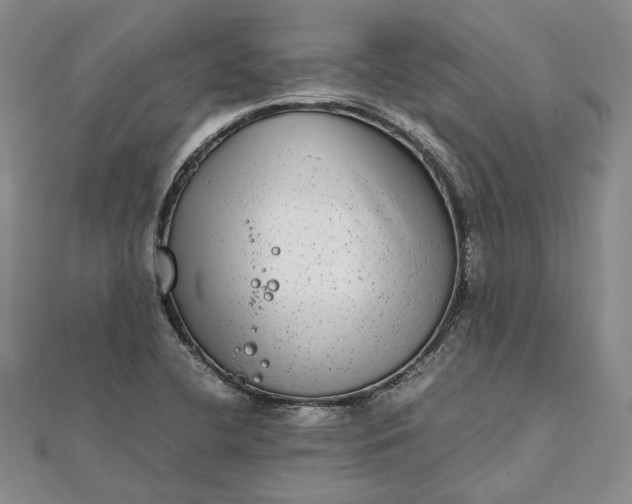 X0000111841412200908061244